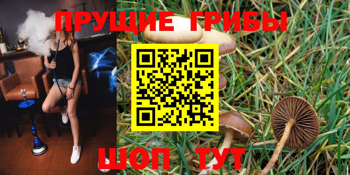 Галлюциногенные грибы прущие грибы Губкинский