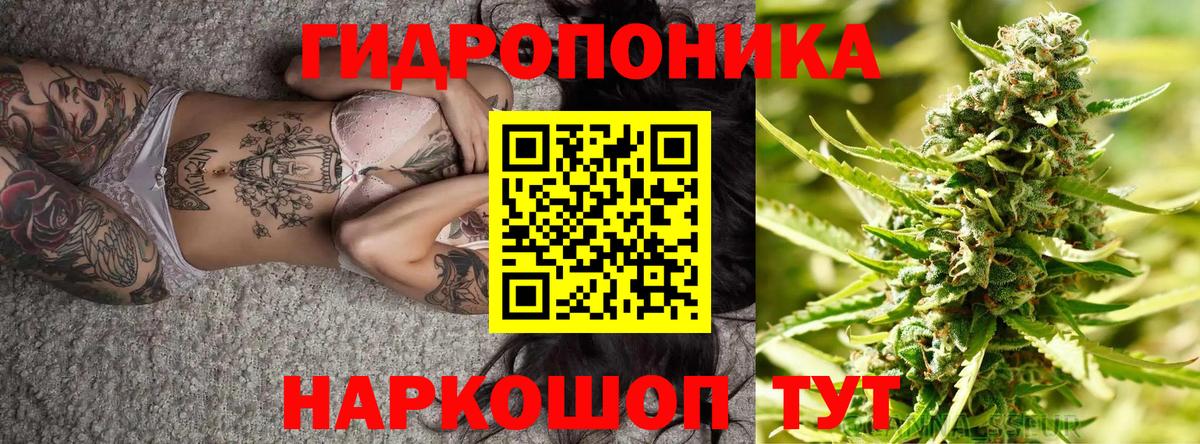 МАРИХУАНА Bruce Banner  МАРИХУАНА Bruce Banner  Конопля White Widow  Конопля сатива  Губкинский  Вход с VPN 